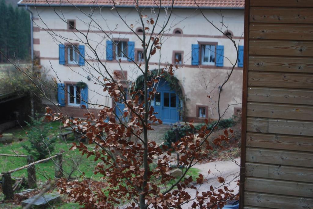 Auberge Du Ruxelier Hotel Cheniménil Exterior photo
